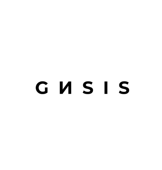 GИSIS™